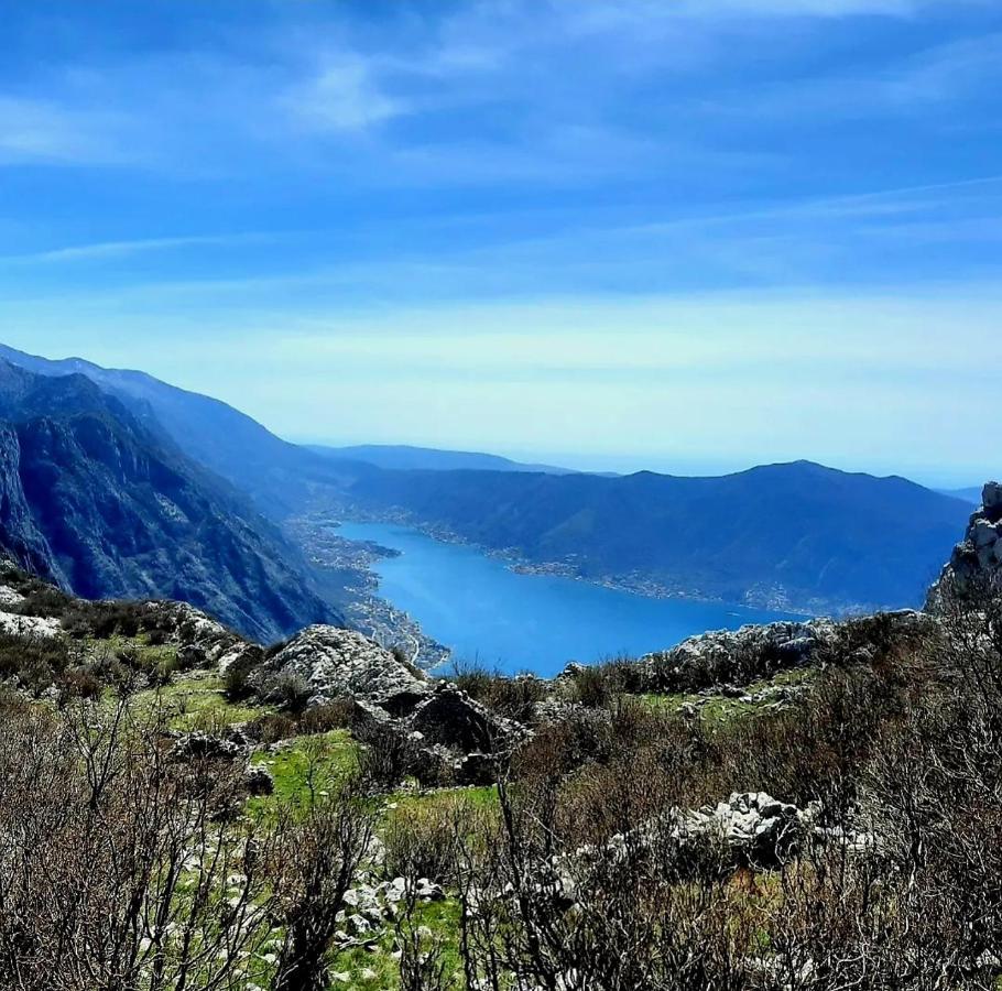 Apartments Pejanovic Kotor Eksteriør billede