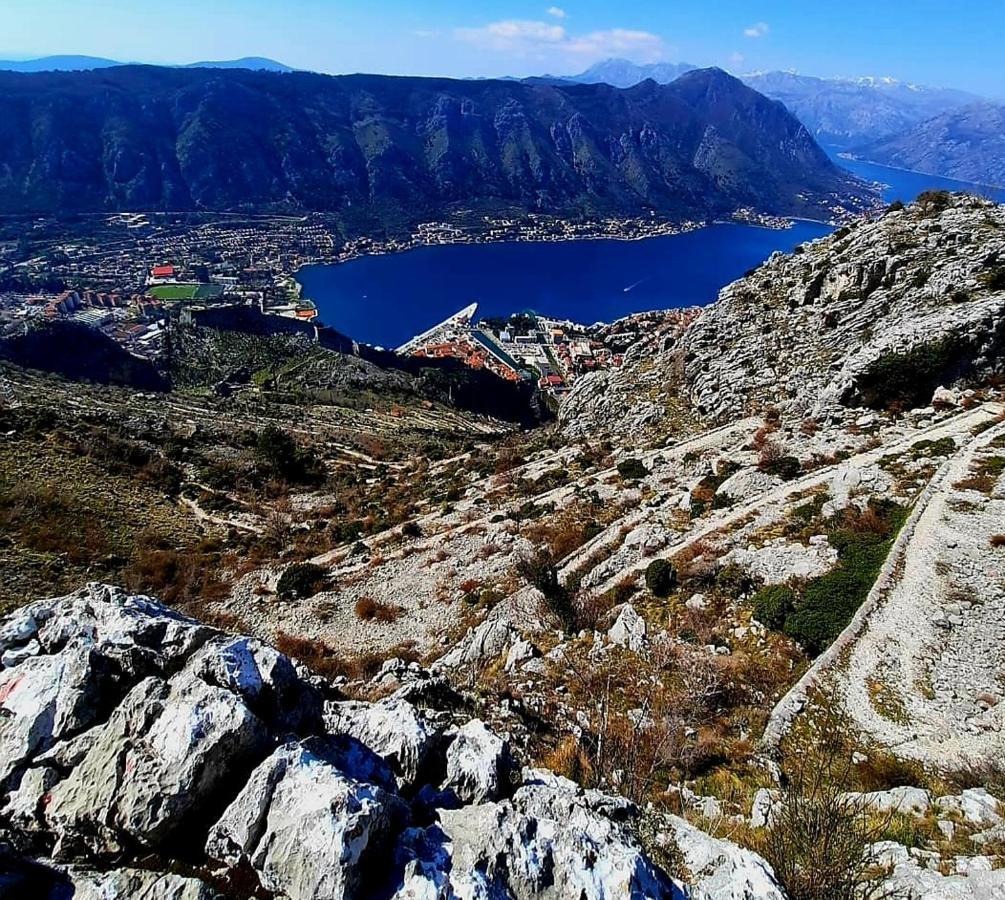 Apartments Pejanovic Kotor Eksteriør billede