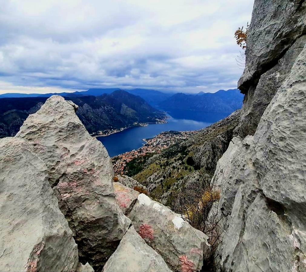Apartments Pejanovic Kotor Eksteriør billede